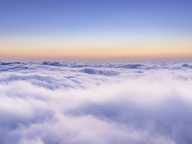 行业视角 新西兰800600